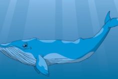 Las Ballenas (Whale): el gran peligro de la bolsa y las criptomonedas