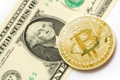 fraudes relacionados a criptomonedas