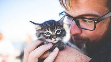 Que tiene que ver las Criptomonedas y animales