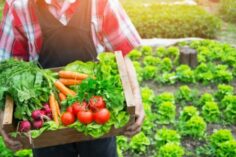 agricultura sostenible