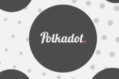 Polkadot: una criptomoneda muy prometedora