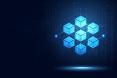 Desarrollarán un proyecto piloto conservacionista con tecnología Blockchain