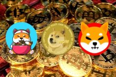 Los memecoins: la verdad sobre el dogecoin y su nuevo sucesor
