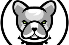 Pitbull Token