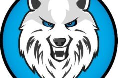DireWolf Token