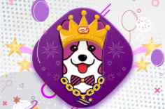 CORGIB Finance