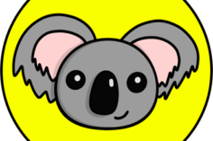 ColdKoala