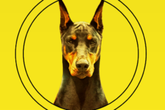 Dobermann Token