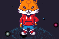 PETBloc