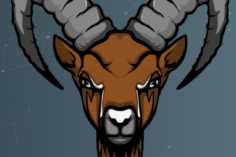 IBEX Coin