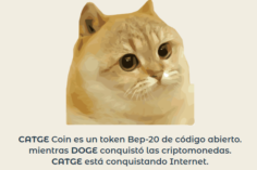CATGE