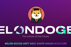 ElonDoge