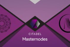 Qué es Citadel y cómo conseguirla