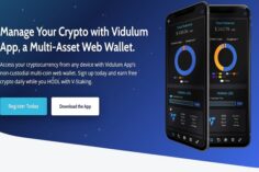 Vidulum