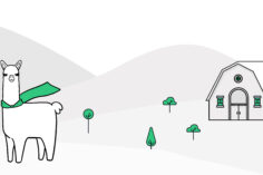 qué es alpaca finance