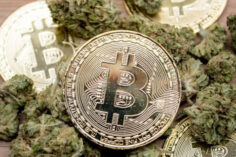 Cannabis y Bitcoin