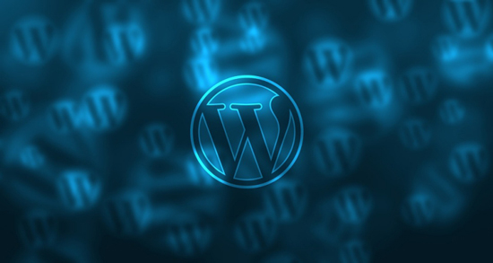 formas de proteger WordPress formas de proteger WordPress